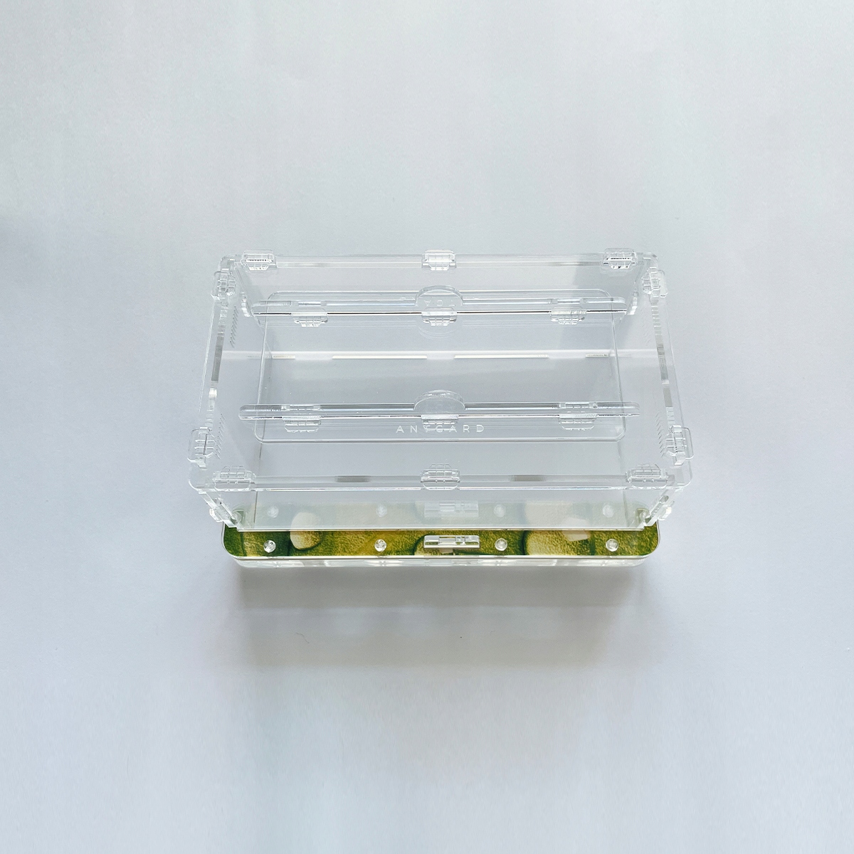 Levně Arena pro mravence Antgard Arena One (Barva: zelená)