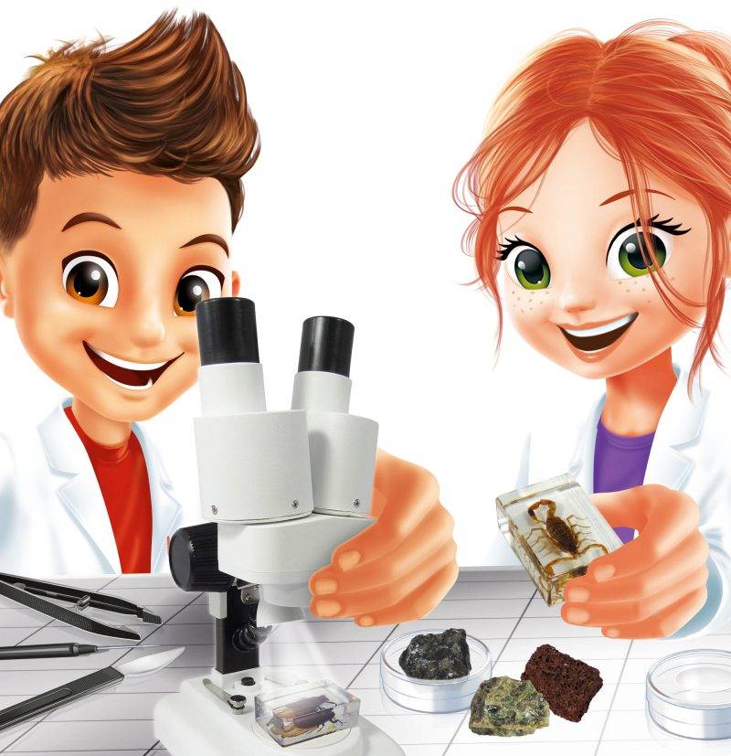 Mikroskop dwuokularowy 40 doświadczeń Buki Materiał metal inny