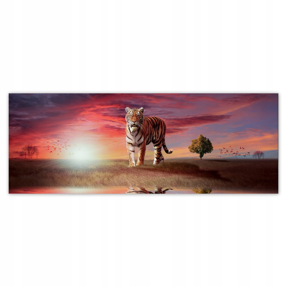 

Fototapety flizelina 250x93 Tygrys