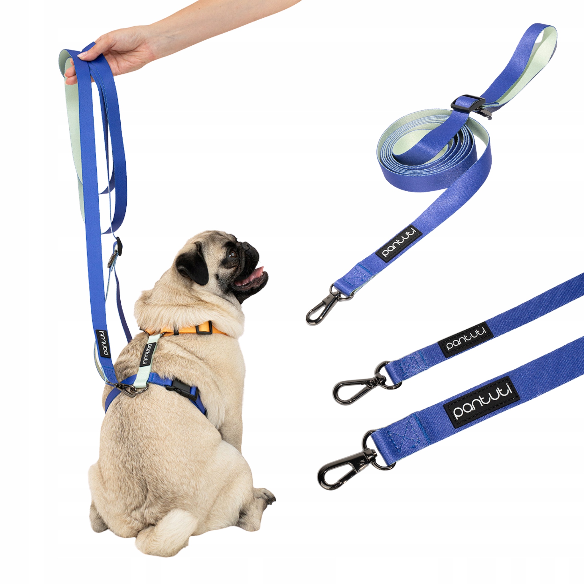 Vodítko Pro Psa Vodítko Nastavitelná Pro Psa Přepínací 3M Modrá Porto M