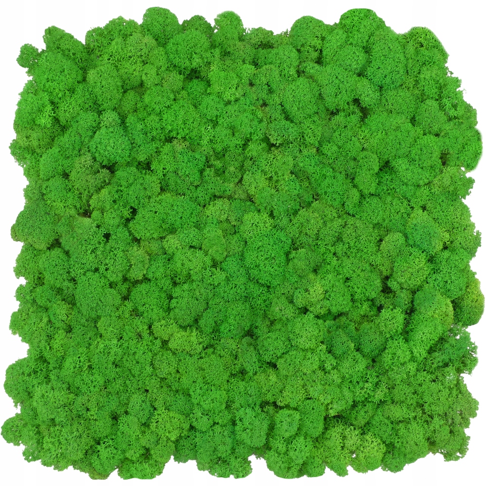 Mechový panel chrobotka Premium Apple Green 30x30 cm