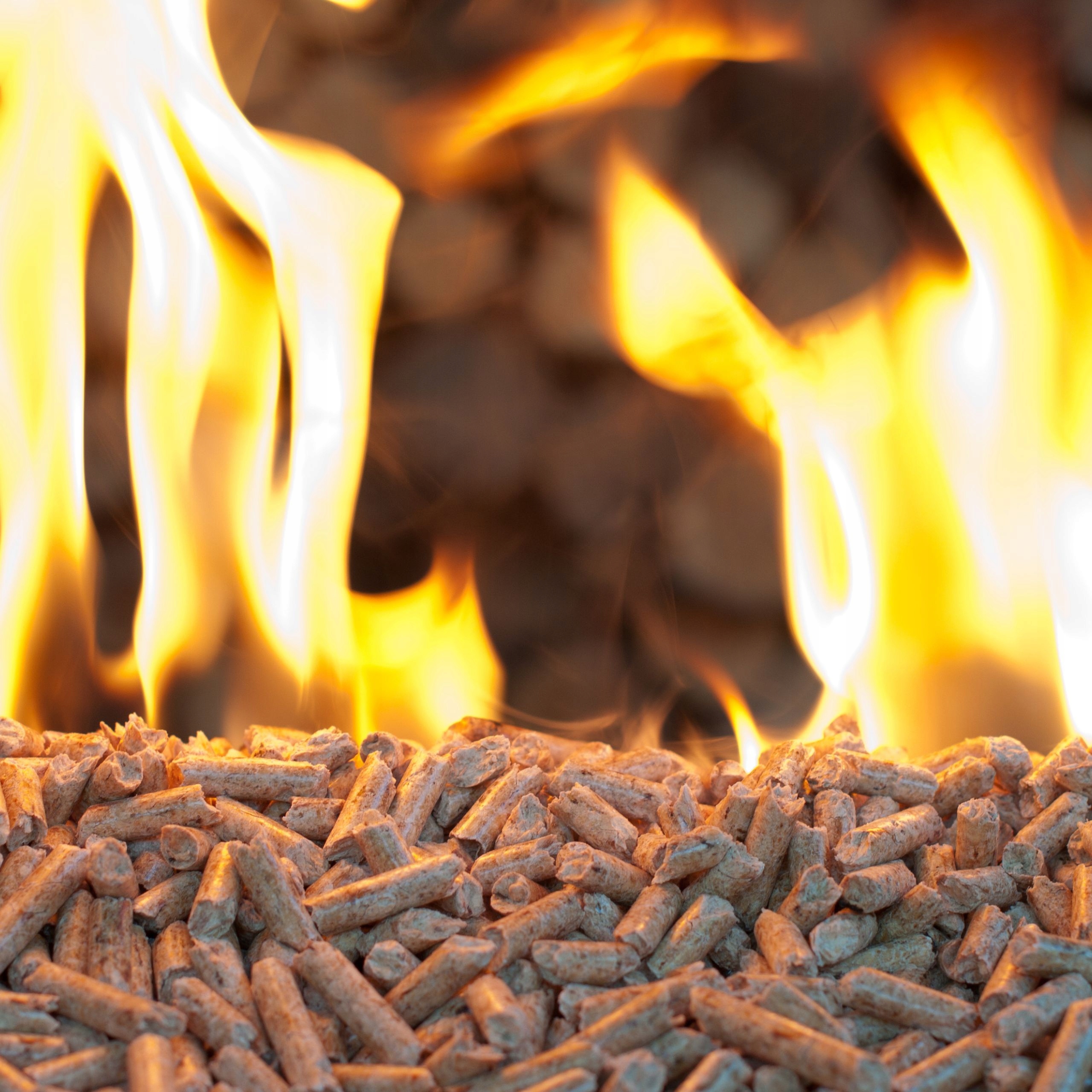 Pellet drzewny dębowy dąb Premium wysoka kaloryczność Marka inna