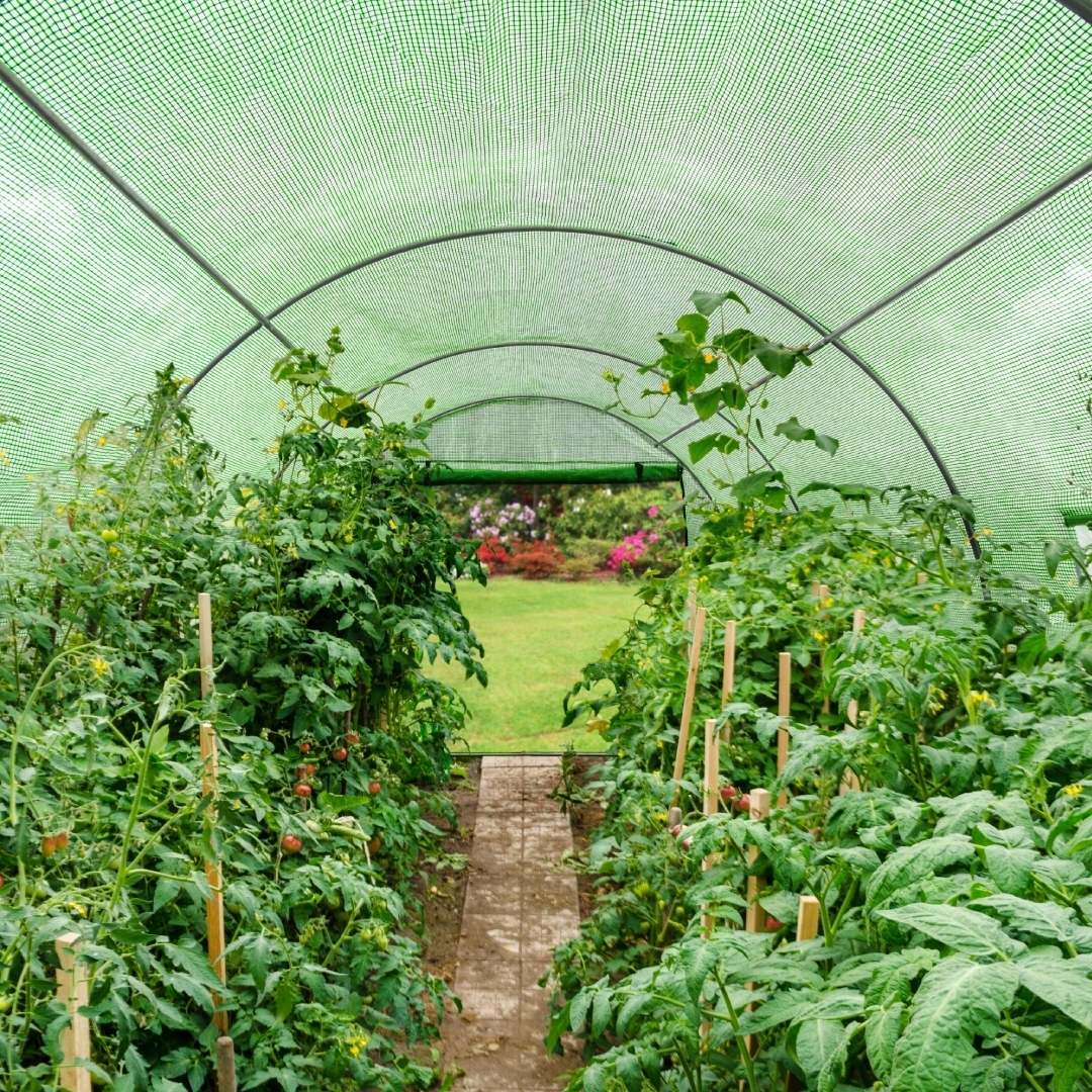 FOLIA NA TUNEL OGRODOWY FOLIOWY 4,5x2x2m 9m2 UV-4 PRIMAVEO Wysokość produktu 200 cm