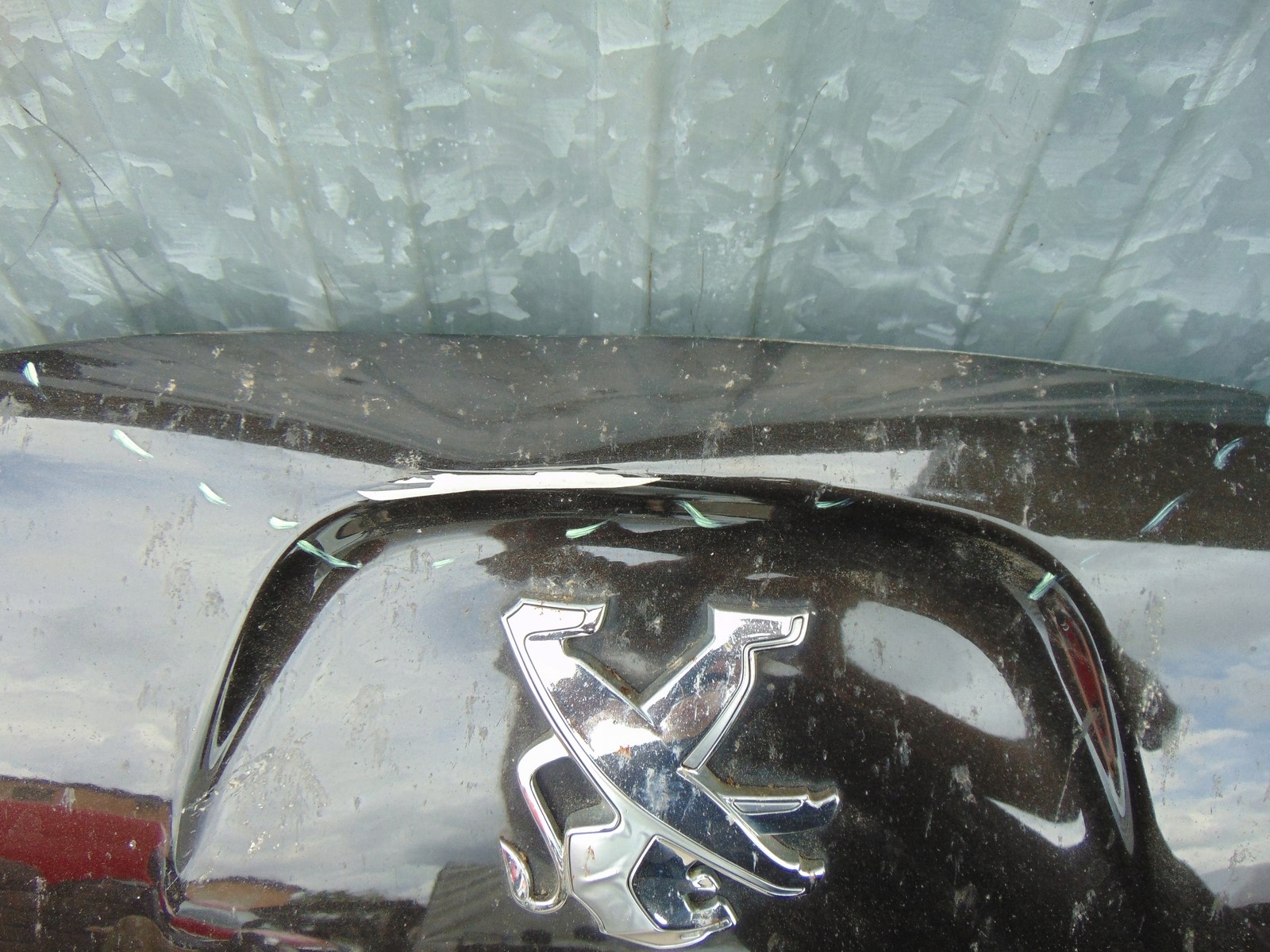 капот peugeot 508 1