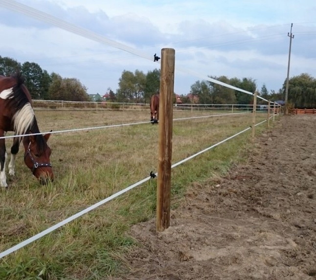 IZOLATOR DO PASTUCHA TAŚMY UNIWERSALNY WKRĘCANY DO DREWNA IZOLATORY 100 SZT Przeznaczenie do taśm