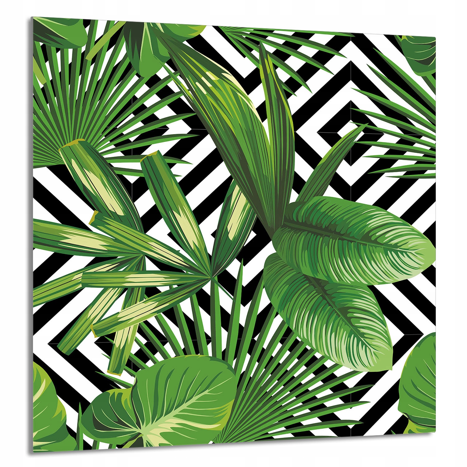 Skleněný Panel Do Kuchyně 60x65 Listy Tvrzené Sklo