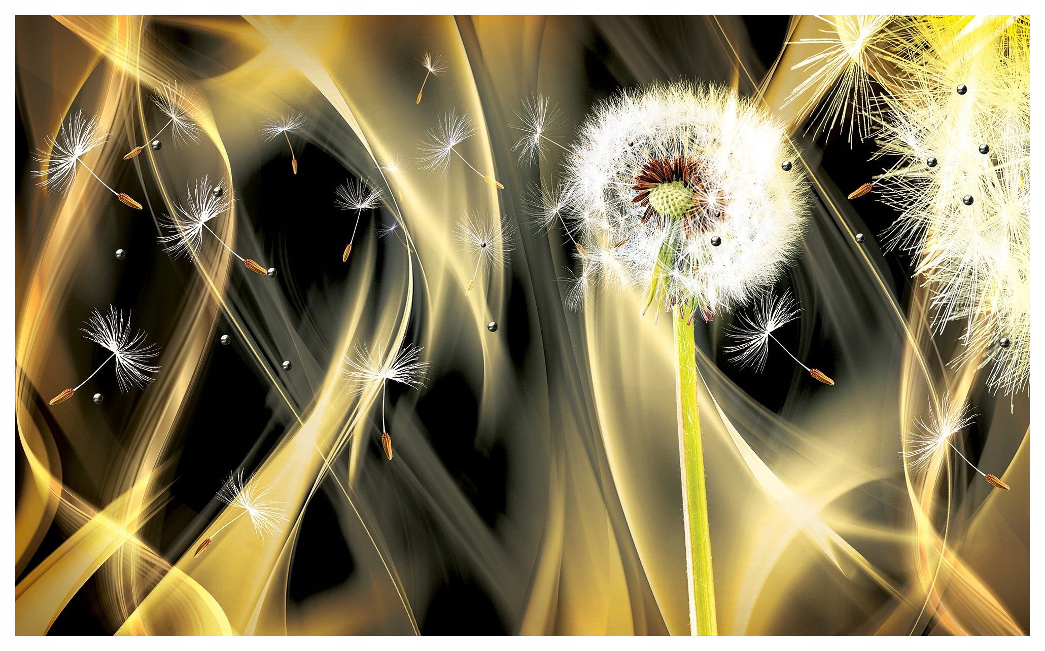 Fototapeta Zlatý Pampeliška Snění Jemnost vinylová 208x146 lepidlo