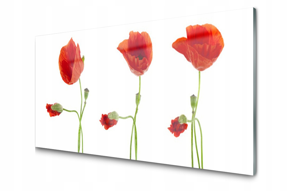 

Panel szklany dekor Maki Roślina 120x60 + Klej