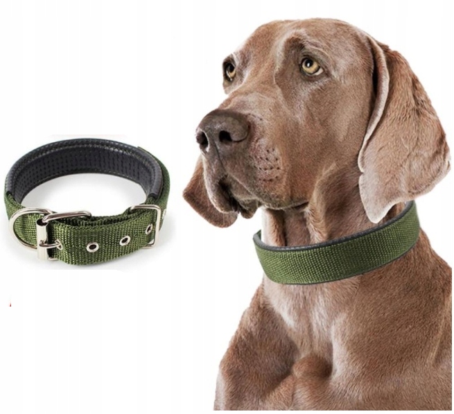 

Komfortowa Obroża Dla Psa Taśmowa Regulowana 32-42