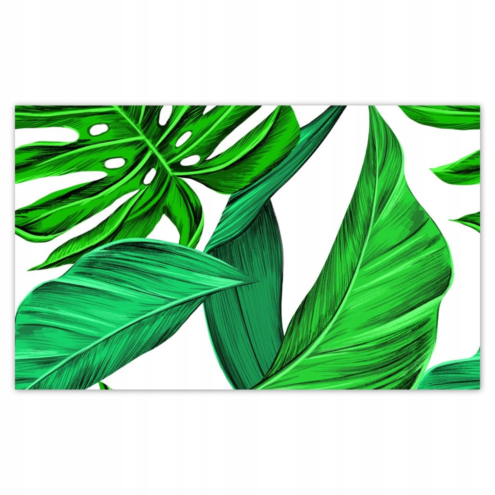 

Fototapety flizelina 416x254 Monstera Tropiki