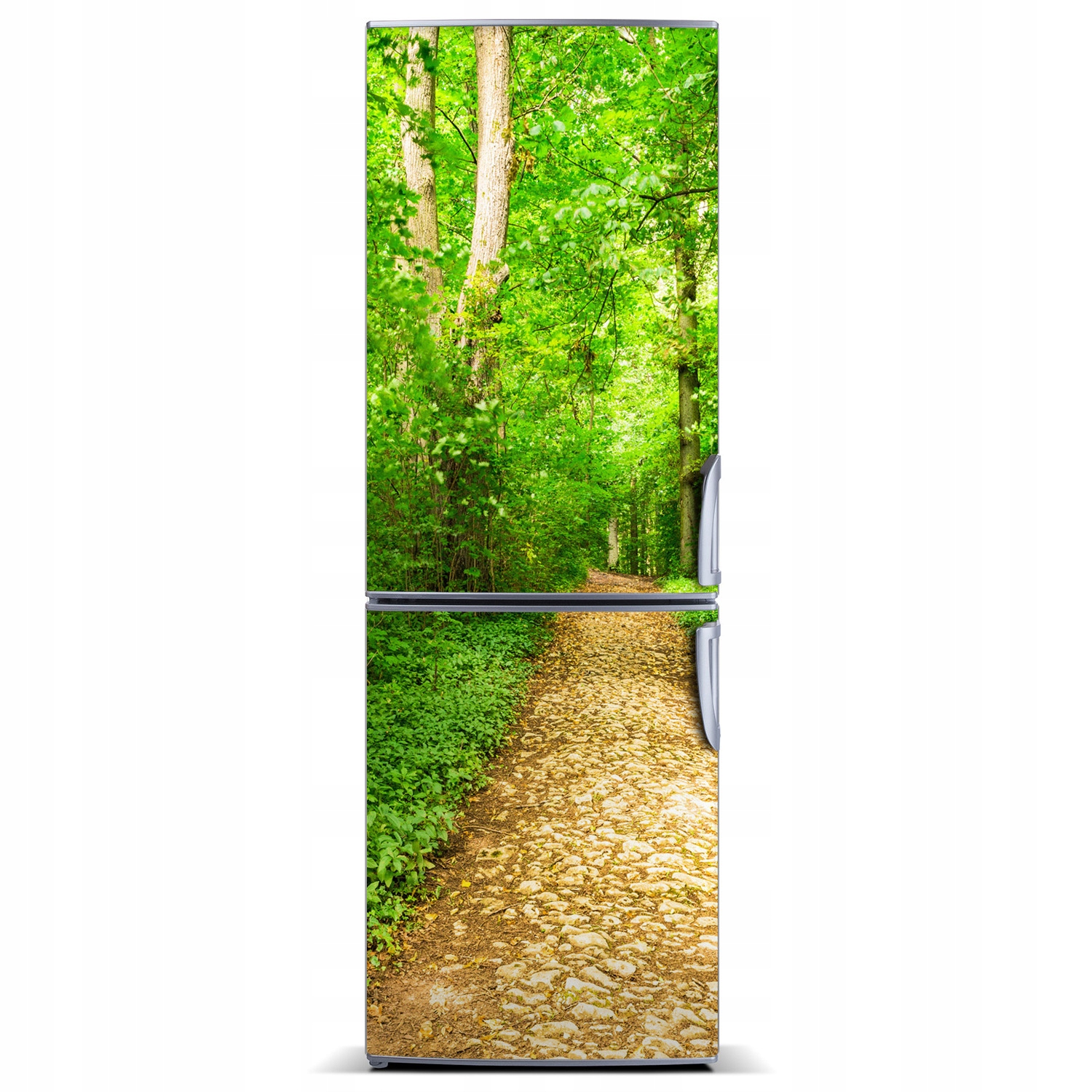 

Magnes na lodówkę Ścieżka w lesie 60x180