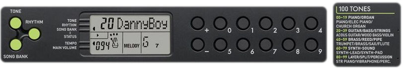 CASIO CTK-240 + Zasilacz + Pulpit + 2 Podręczniki Model CTK-240