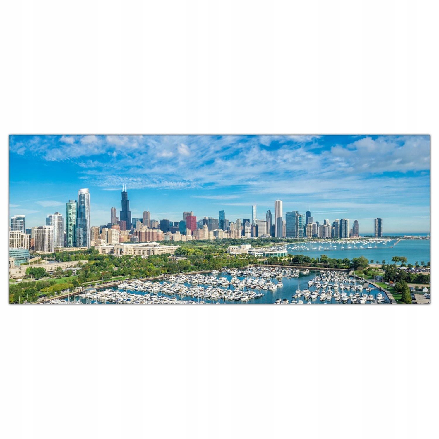 

Obraz Szklany Foto-obraz Chicago Miasto Usa 125x50