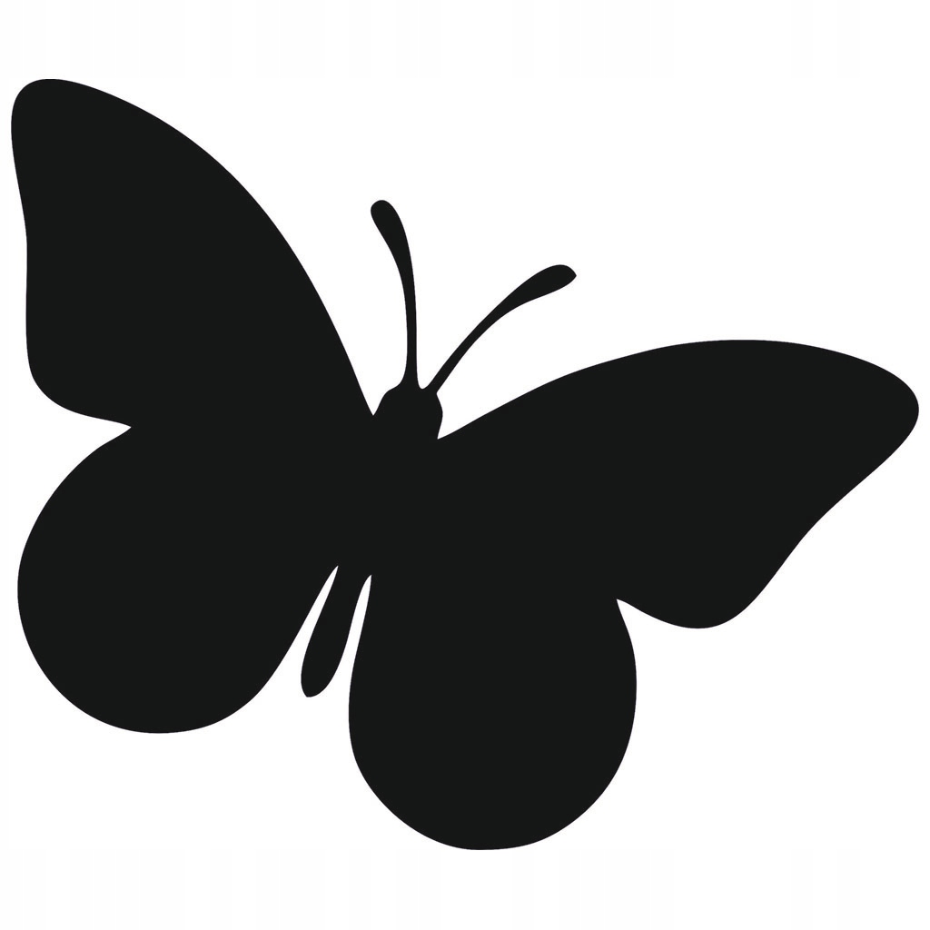 15 x 13 cm Naklejka na auto samochód rysę odprysk wgniecenia Motyl Motylek