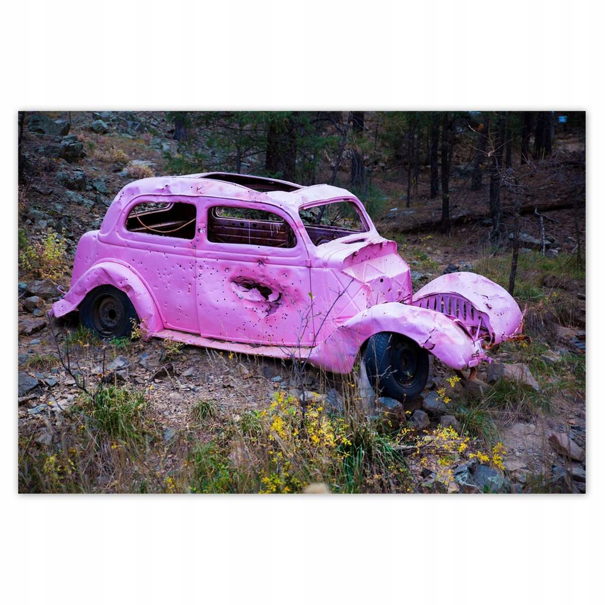 Plakáty 200x135 Růžový vrak auta