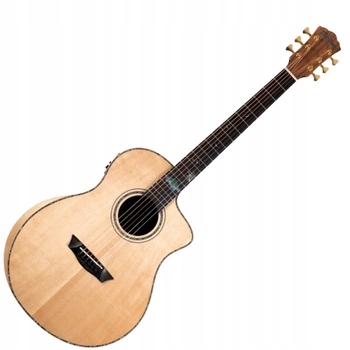 Washburn Bts C56 Sce (n) elektroakustická kytara