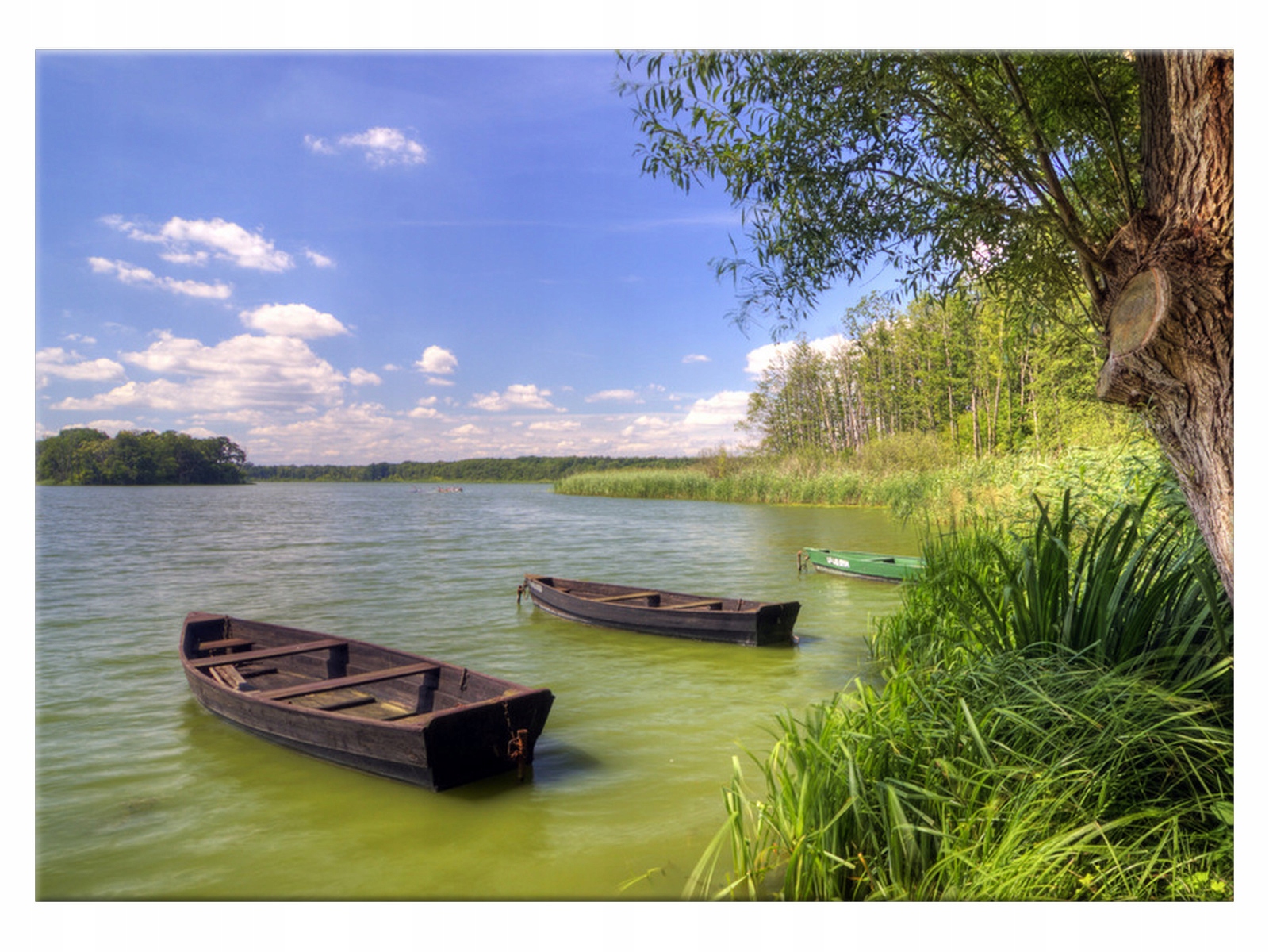 

Obraz Łódki wędkarskie 70x50 Pejzaż na płótnie