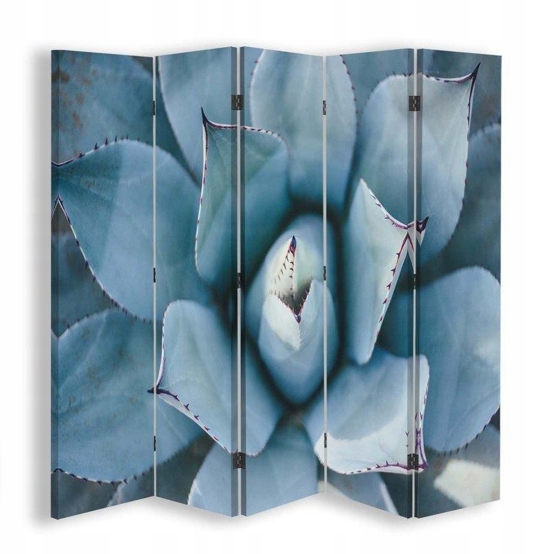 Paraván oboustranný, Agáve shora 180x170