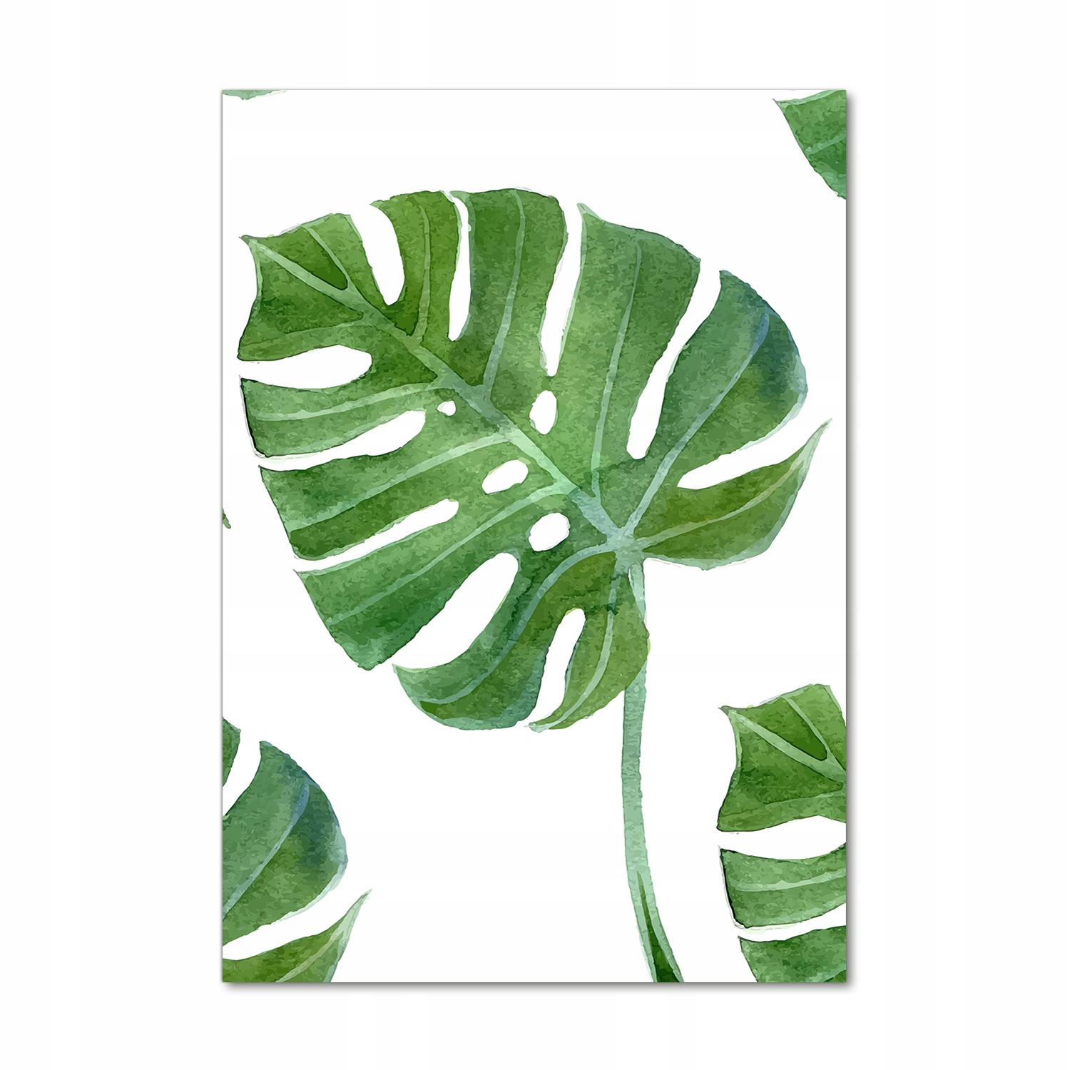 

Foto-obraz szkło hartowane Monstera 70x100 cm