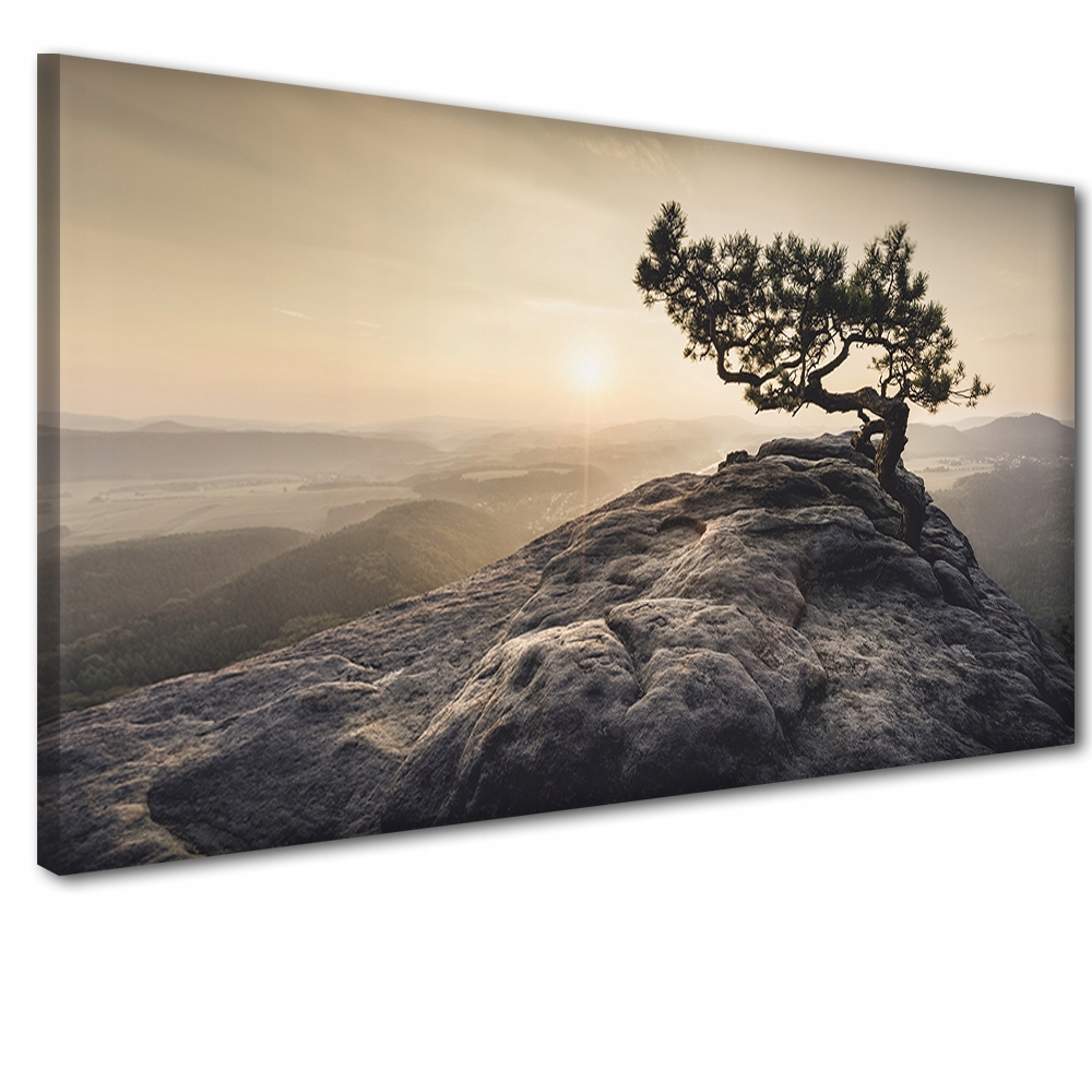

Obraz obrazy na ścianę ścienne 60x120