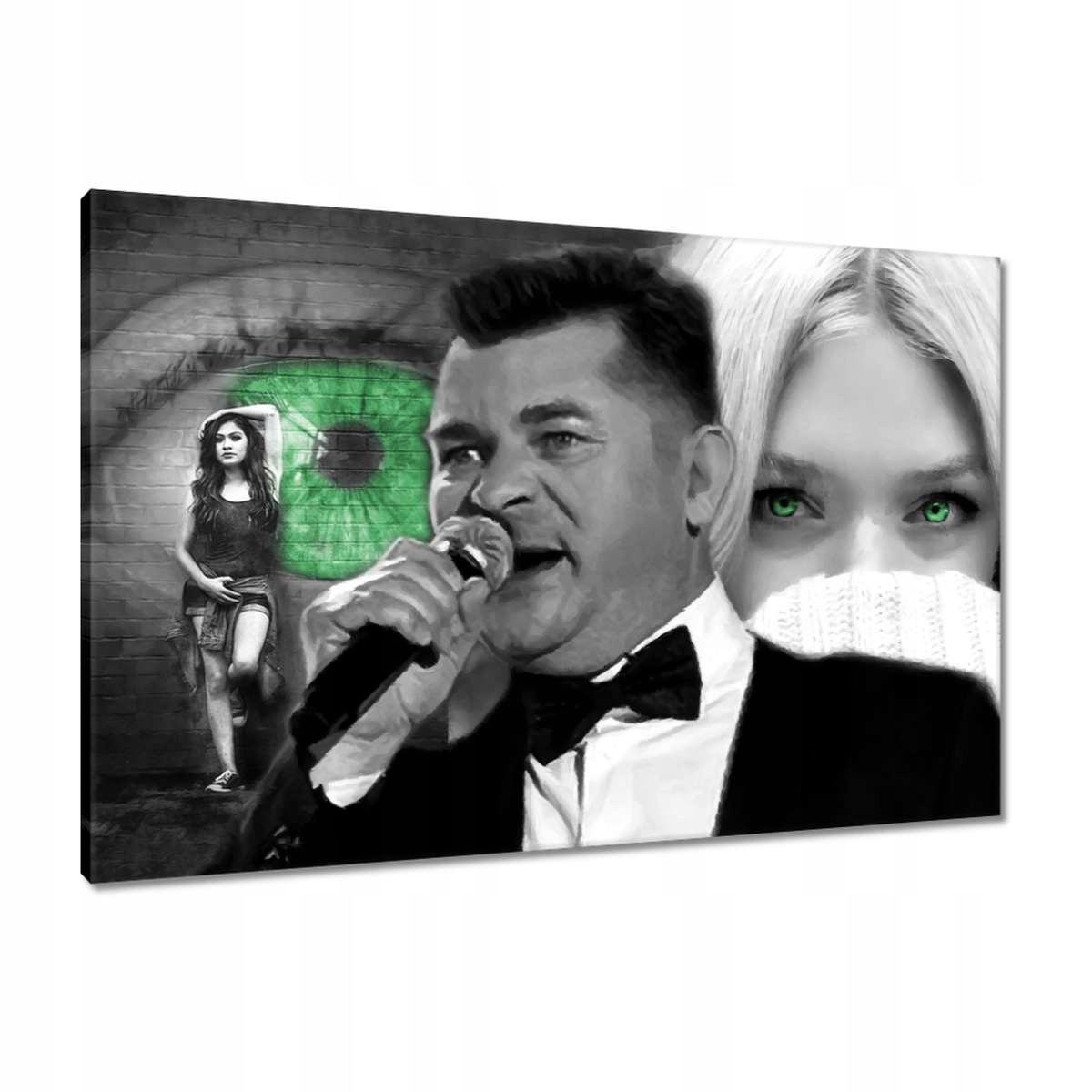 Obrazy 90x60 Zelené oči Zenek