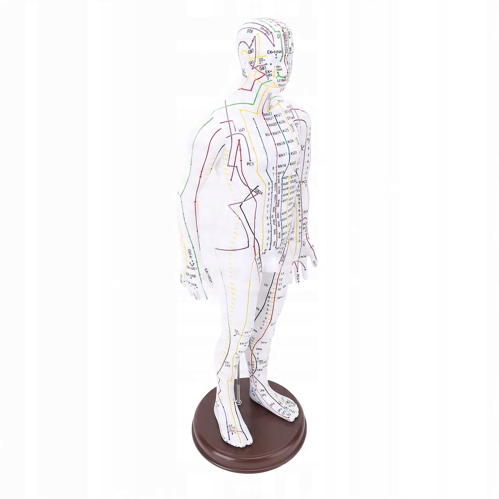 Model Akupunkturowy Mężczyzny Akupunktura 52 cm