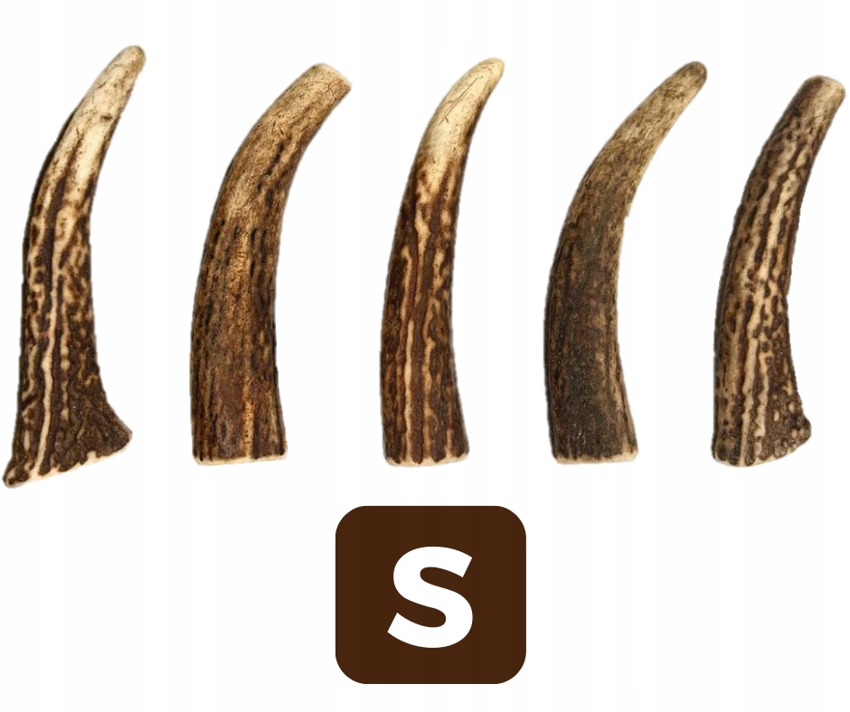 Levně Sada 5x Žvýkací hračka z jeleního parohu pro psy S tvrdá