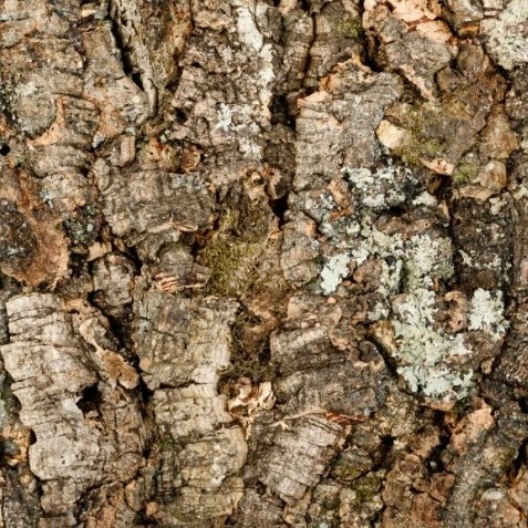 Dekorativní korková nástěnná zátka 1,98 m2 s dekorativními panely Virgin