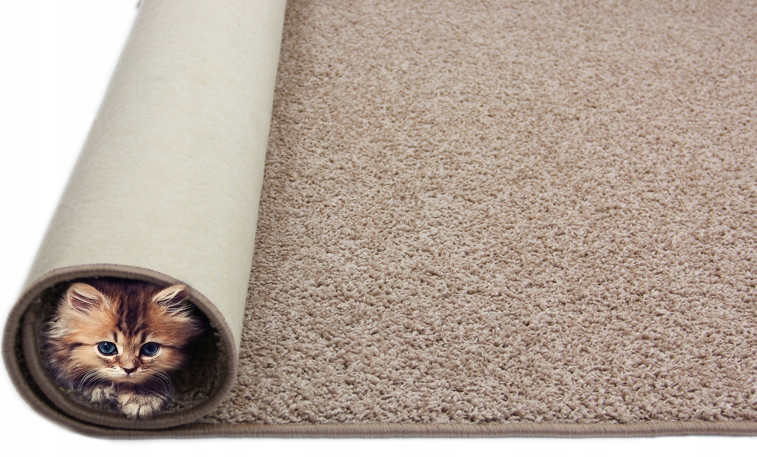 Koberec 2 CM Tampa Chlupatý Shaggy Béžová 200 x 200 cm