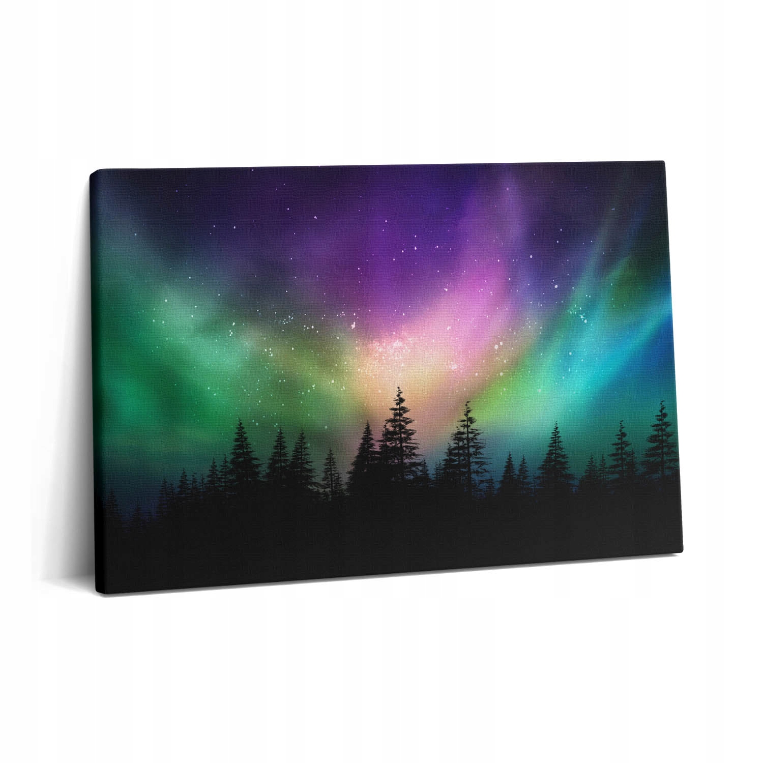 Fotoobraz Canvas do předsíně Dekorativní polární záře 60x40 cm