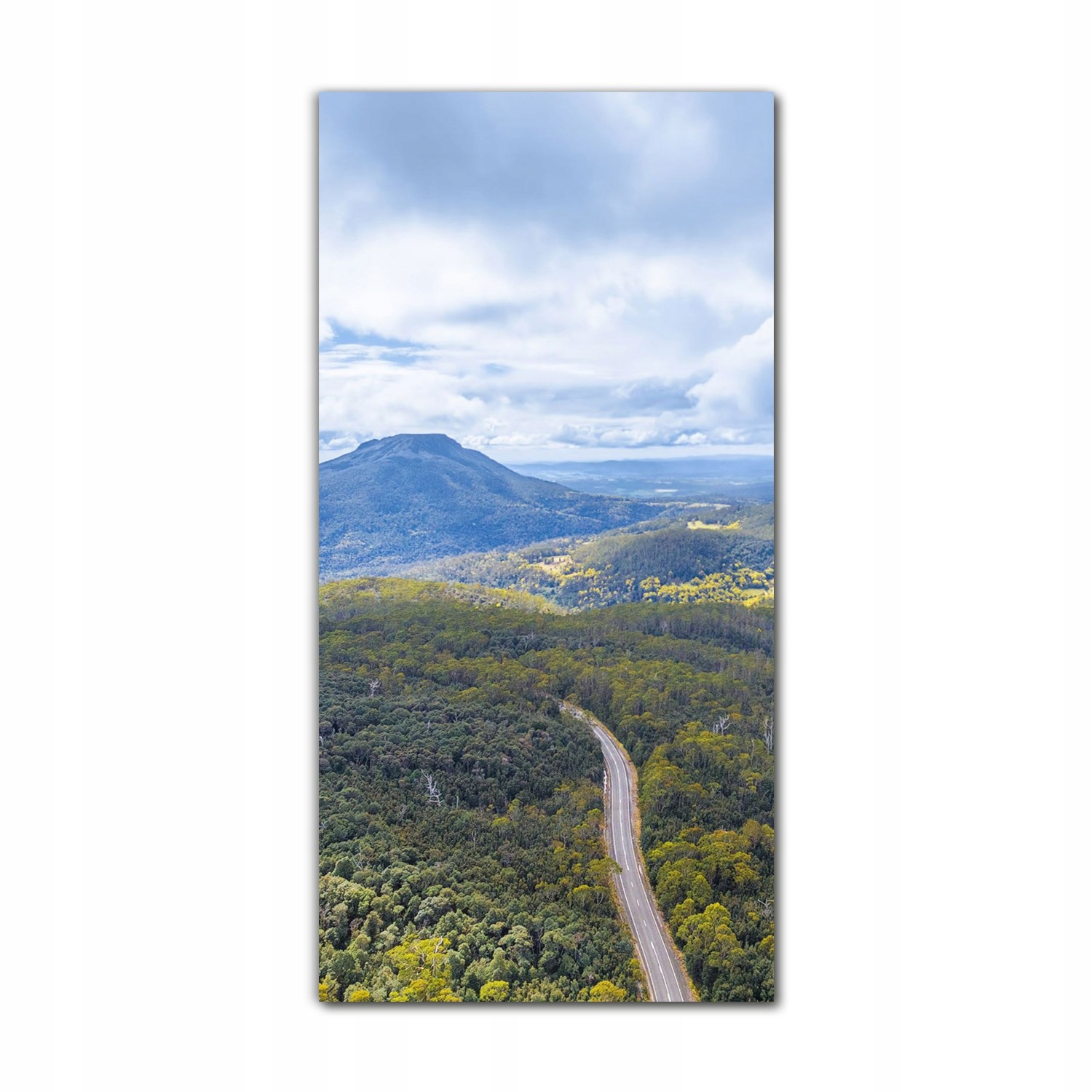 

Foto na szkle na ścianę do salonu 60x120 Góry las