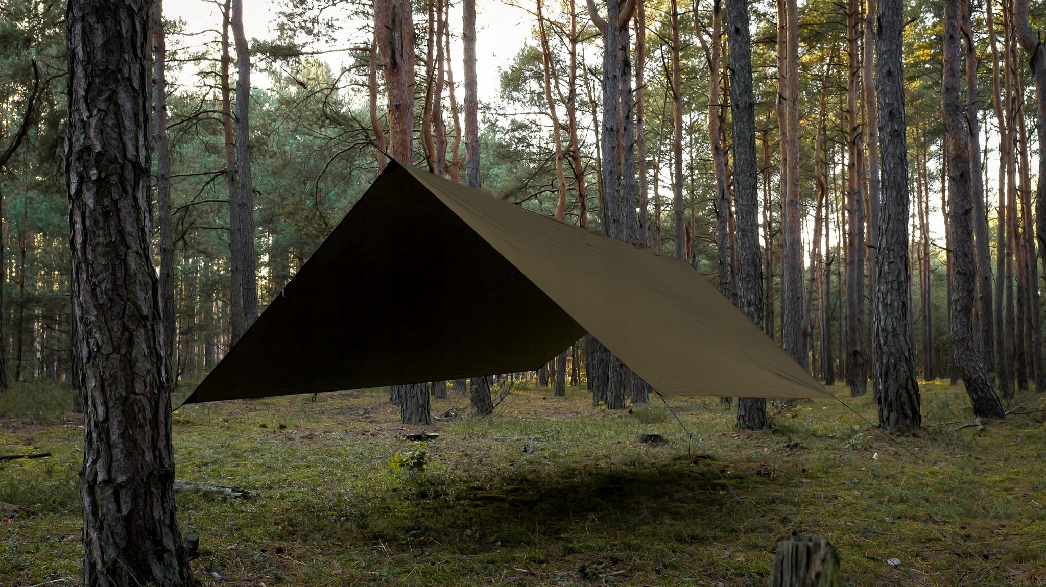 TigerWood T2 Tarp 3×4 m Khaki/Black