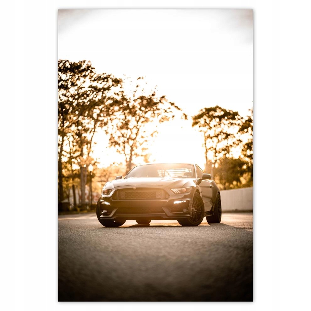 

Plakat Naklejka 40x60 Motoryzacja Samochód Auta