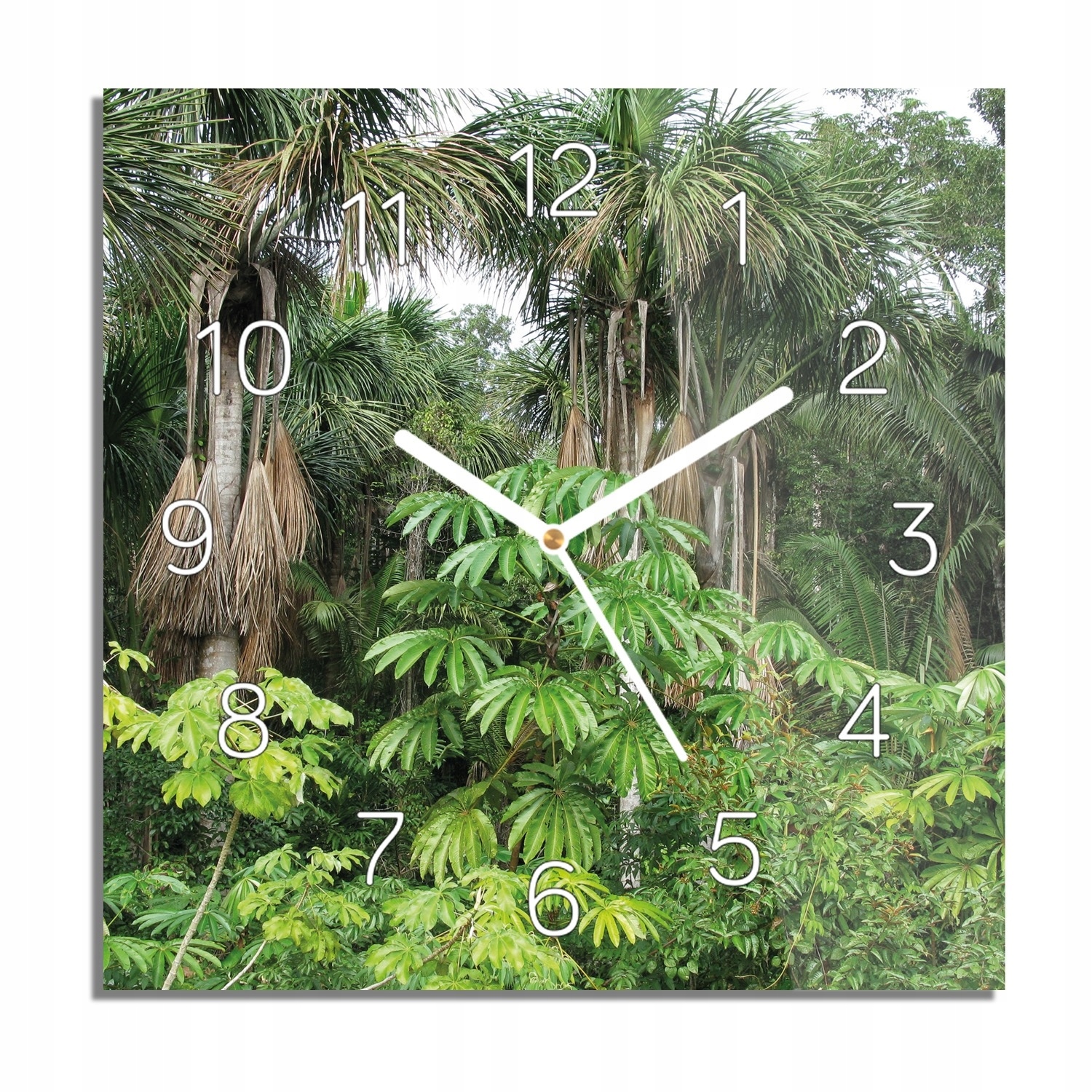 Amazonia džungle les skleněné hodiny 30x30 tiché