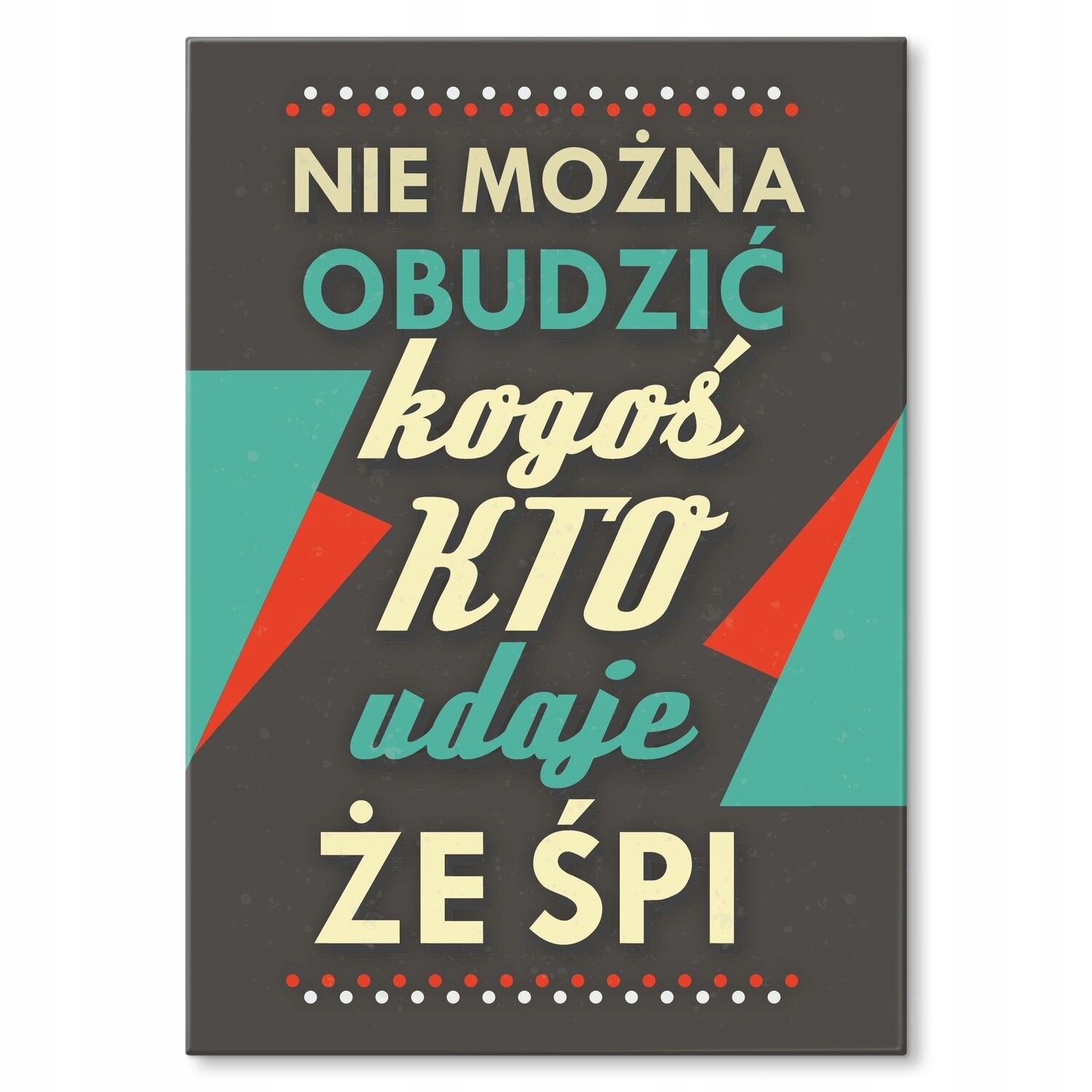 Kovový plakát Nelze probudit Štítek Plech 22 x 31 cm Dárek