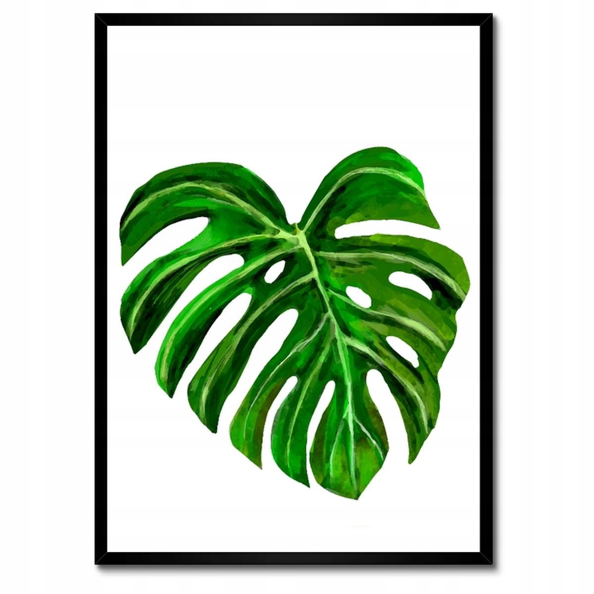 Plakáty v rámu 50x70 List Monsera děravý