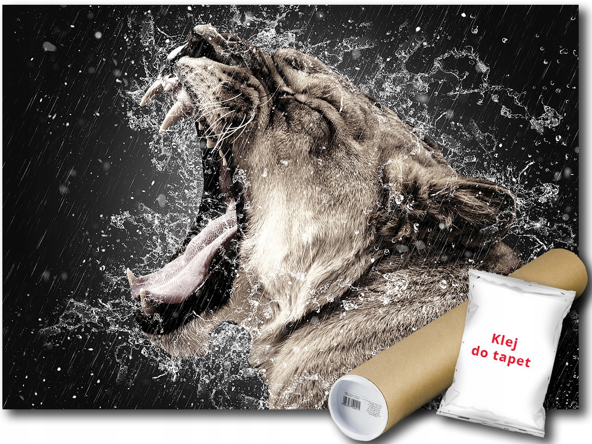 Vinylová Fototapeta Lew Lwica Mačka Dážď Voda Ryk Príroda 208x146