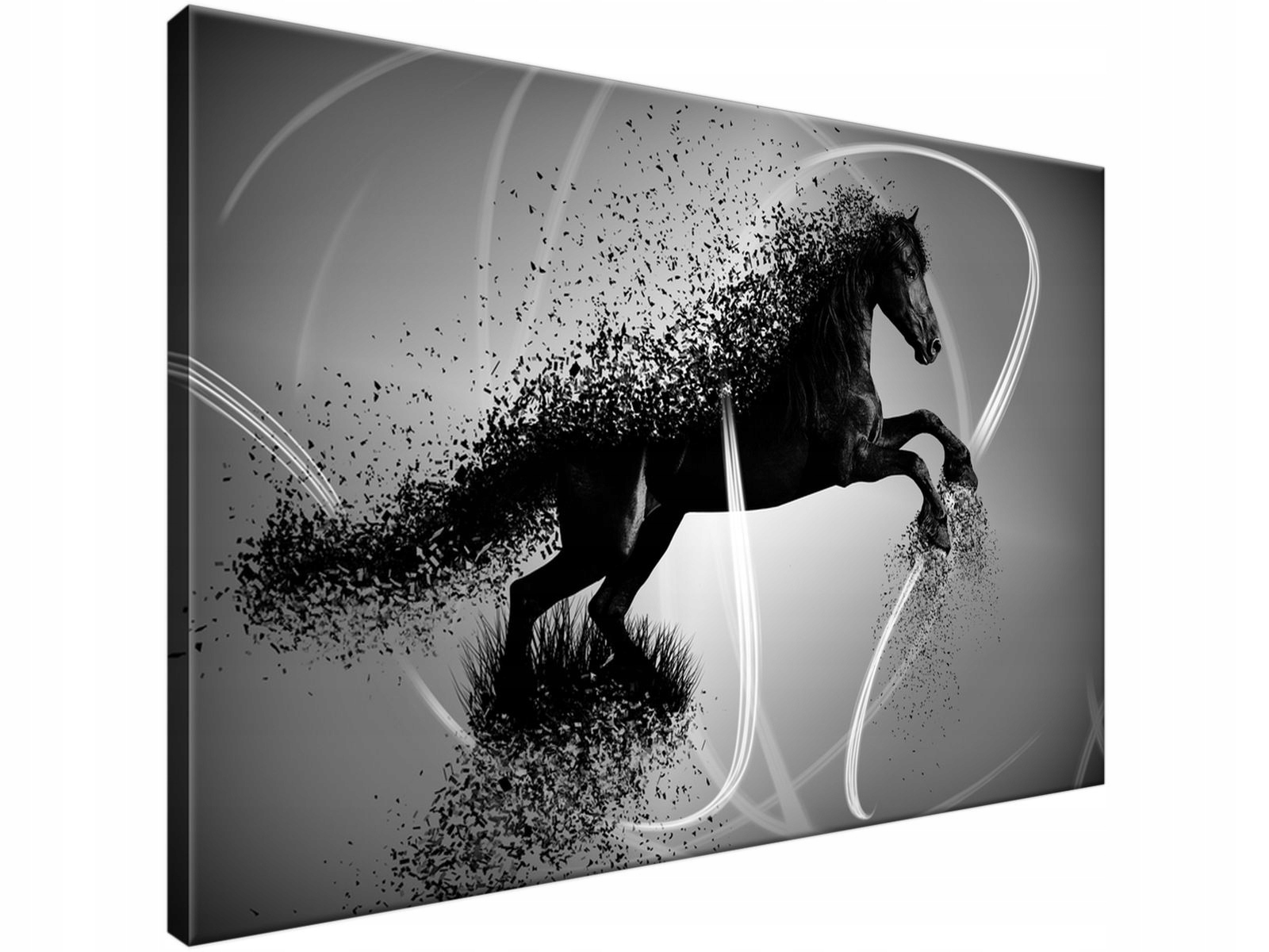 

Obraz drukowany Czarno biały koń 90x60 cyfrowy