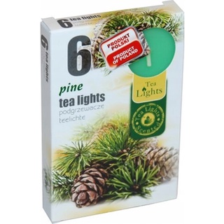 

Zapachowe Tea Light Zapach Sosna 6 szt.