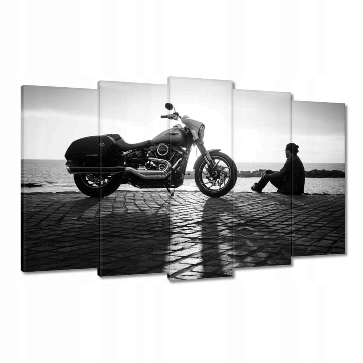 Obrazy 100x60 Harley Davidson Motocykl