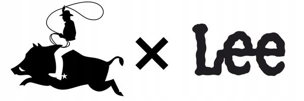 Lee RIDER slim In Shadow lekko dopasowane szare spodnie jeansowe W36 L32 Fason zwężane