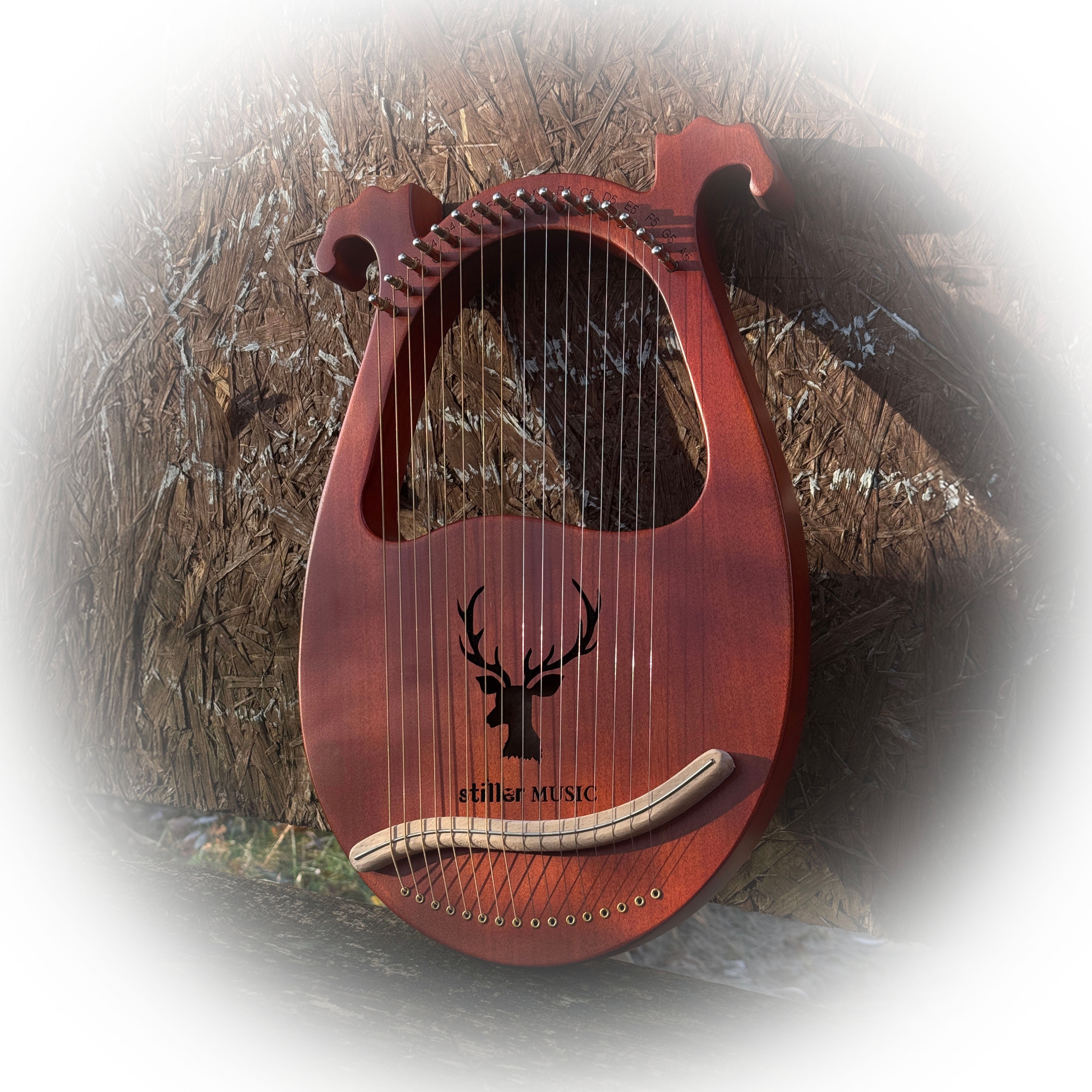 Krásná Lyrická Harfa Lira Z Přírodního Dřeva, Obrovský Set XXL