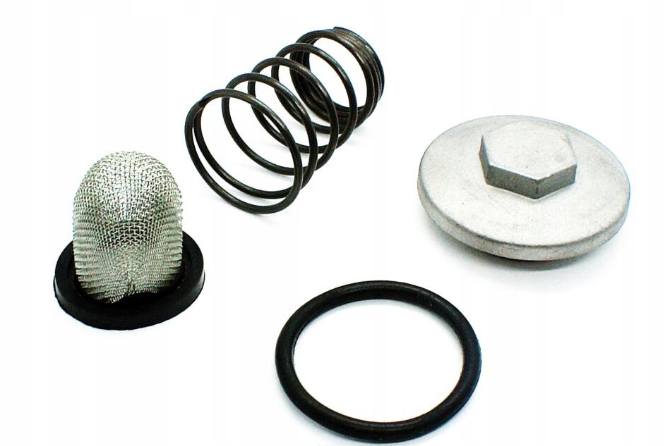 

Korek Filtr Oleju Skuter 4T Zipp Torq Toros 139QMB