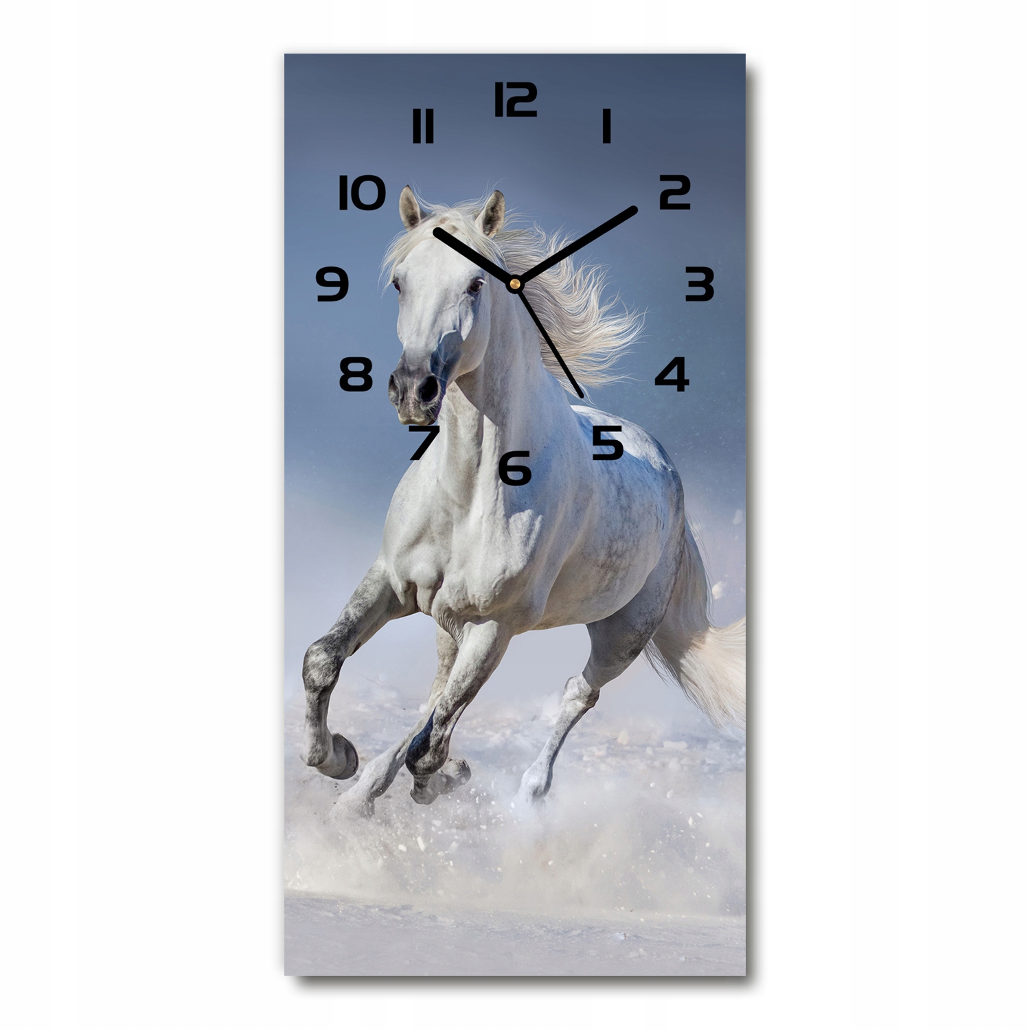 

Zegar ze szkła na ścianę Biały koń w galopie 30x60