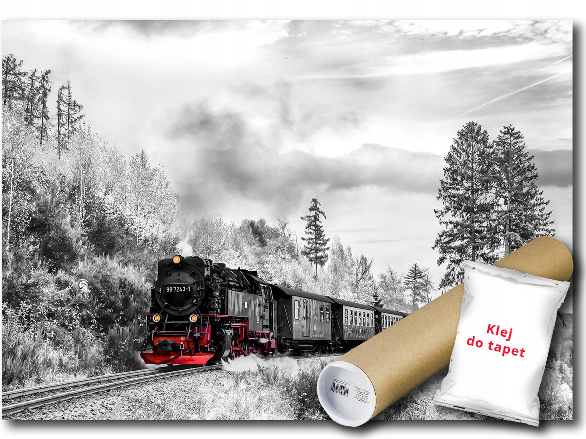 Vinylová Fototapeta Vlak Lokomotiva Krajina B&w Cestování 312x219