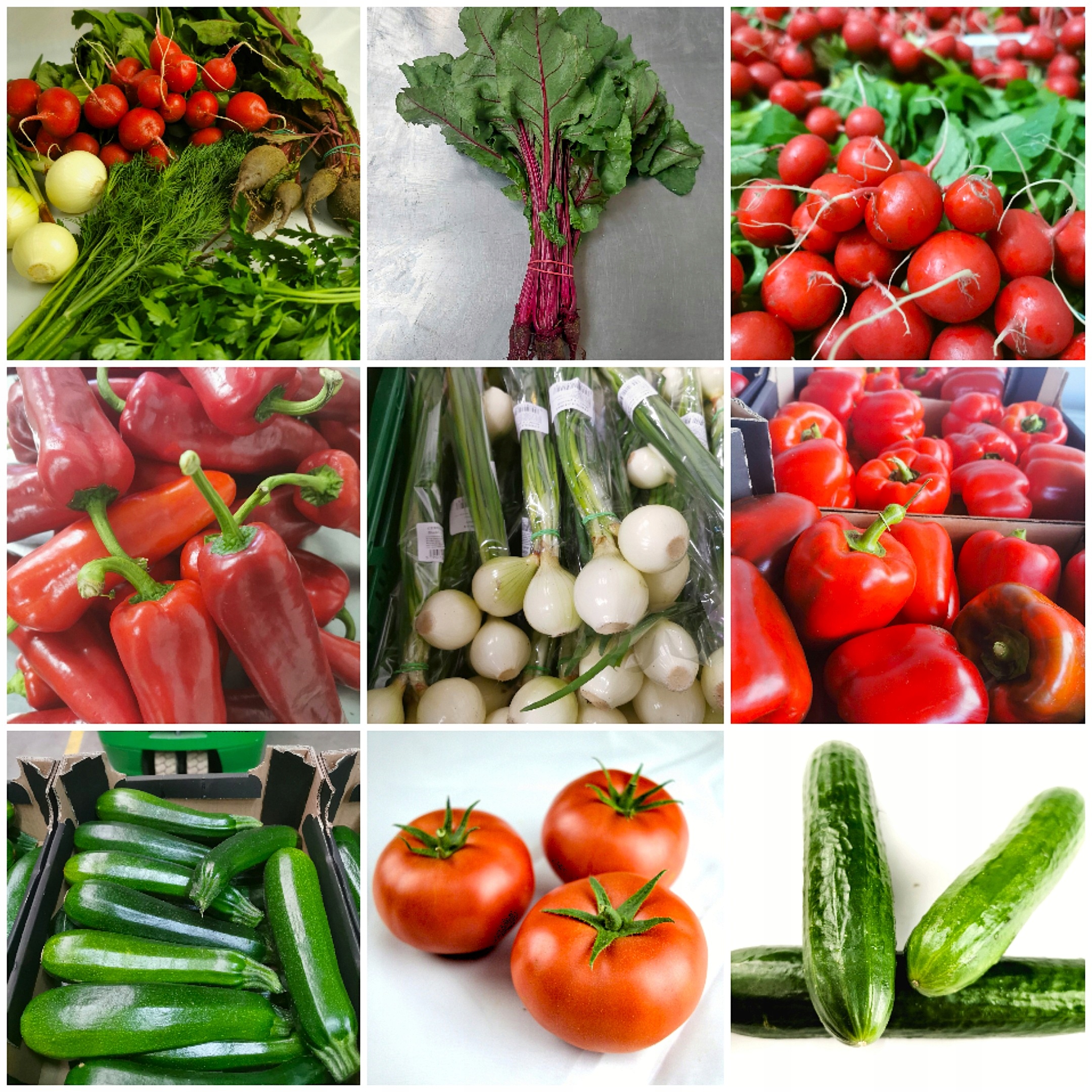Zestaw Warzyw Baza Polskie Sezonowe |nowalijkowy CHRUP|8KG|SIGMA Fresh
