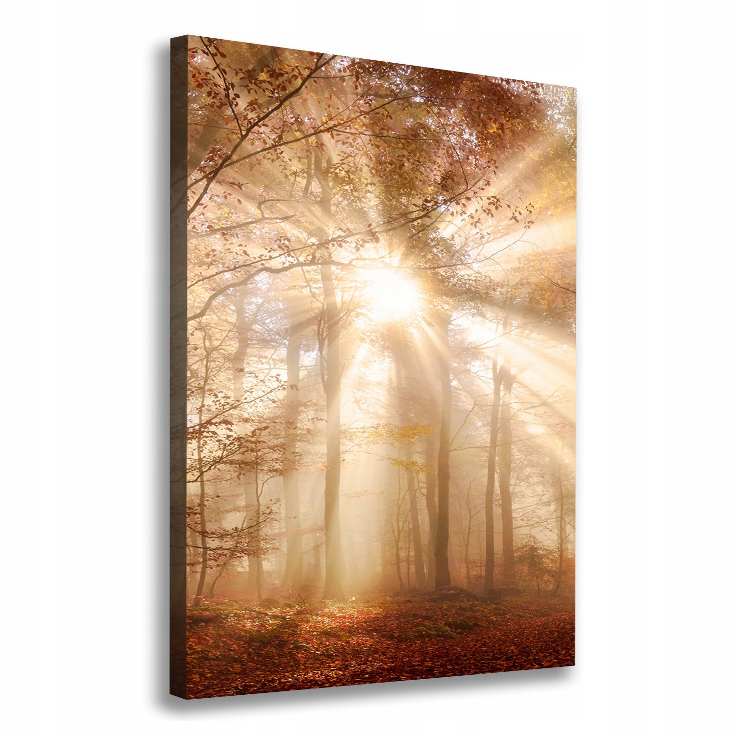 

Foto obraz canvas do salonu Las jesienią 70x100