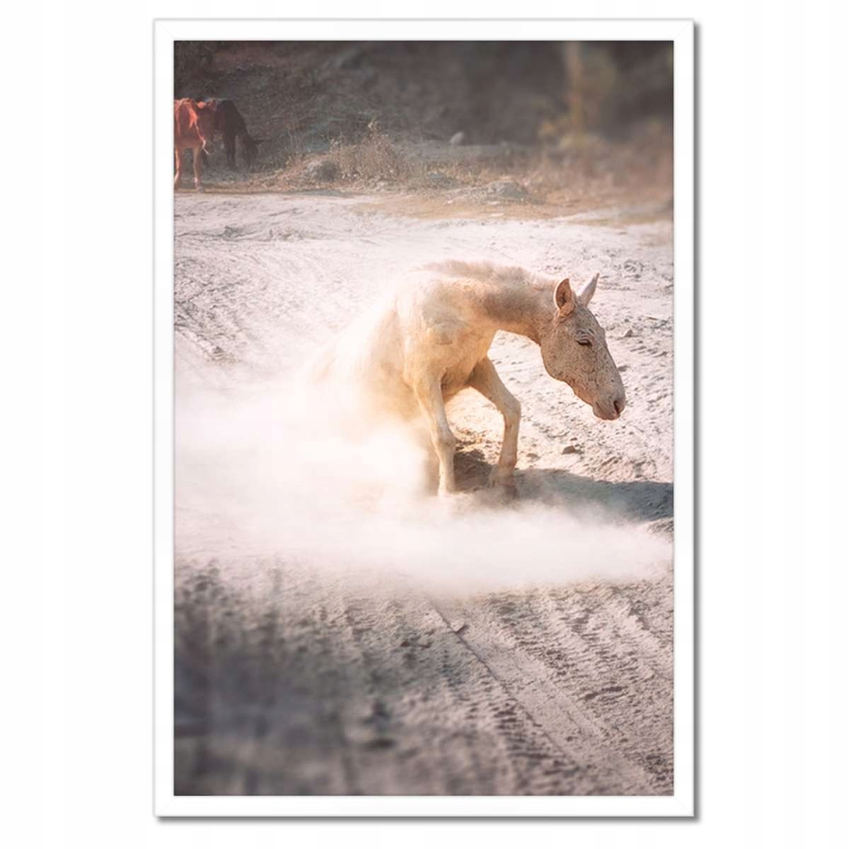 Plakáty v rámu 40x60 Kůň Koně Jezdectví