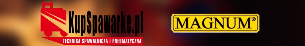 Prostownik z rozruchem MAGNUM DINAMIK 340 Model DINAMIK 340