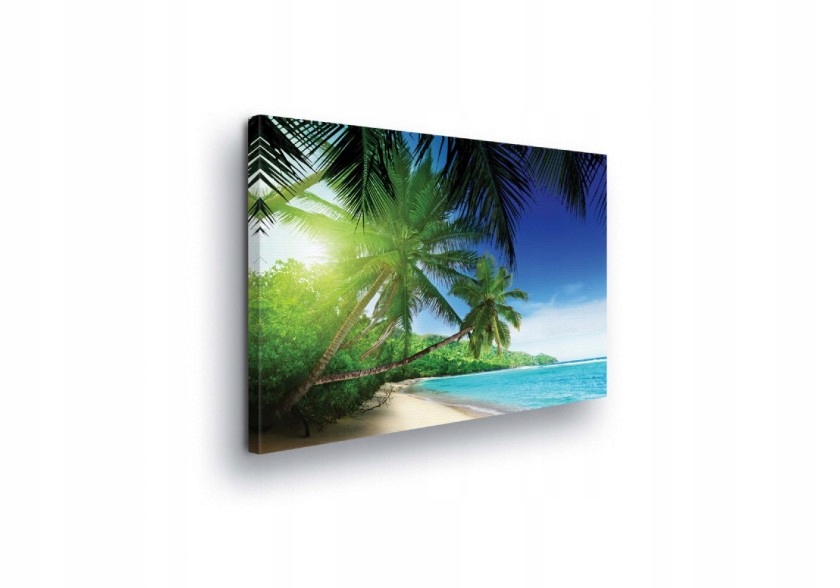 Obraz 100x75 Tropická pláž rajský kout palmy moře oceán slunce